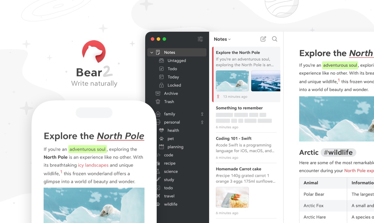 Preview of Bear